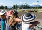 Vancouver Inspector Suspected in Changing Racetrack Worker Documents — Report