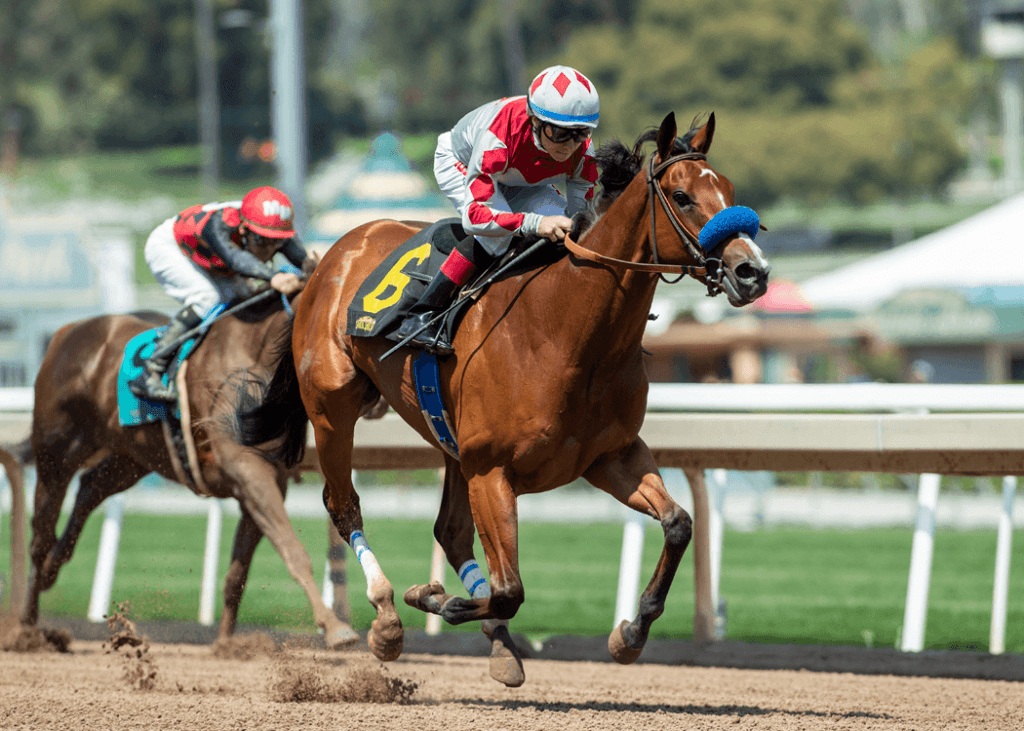 California Board Pushes Back Discussion of Santa Anita Racing Dates Amid 23 Horse Death Scandal