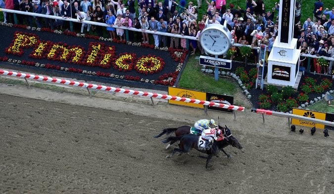 Cloud Computing Wins Preakness in Thrilling Finish, But Ends Triple Crown Dreams