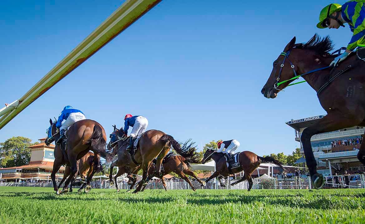 Racing Australia to Seize Laptops from Owners and Trainers Suspected of Betting on Illegal Markets