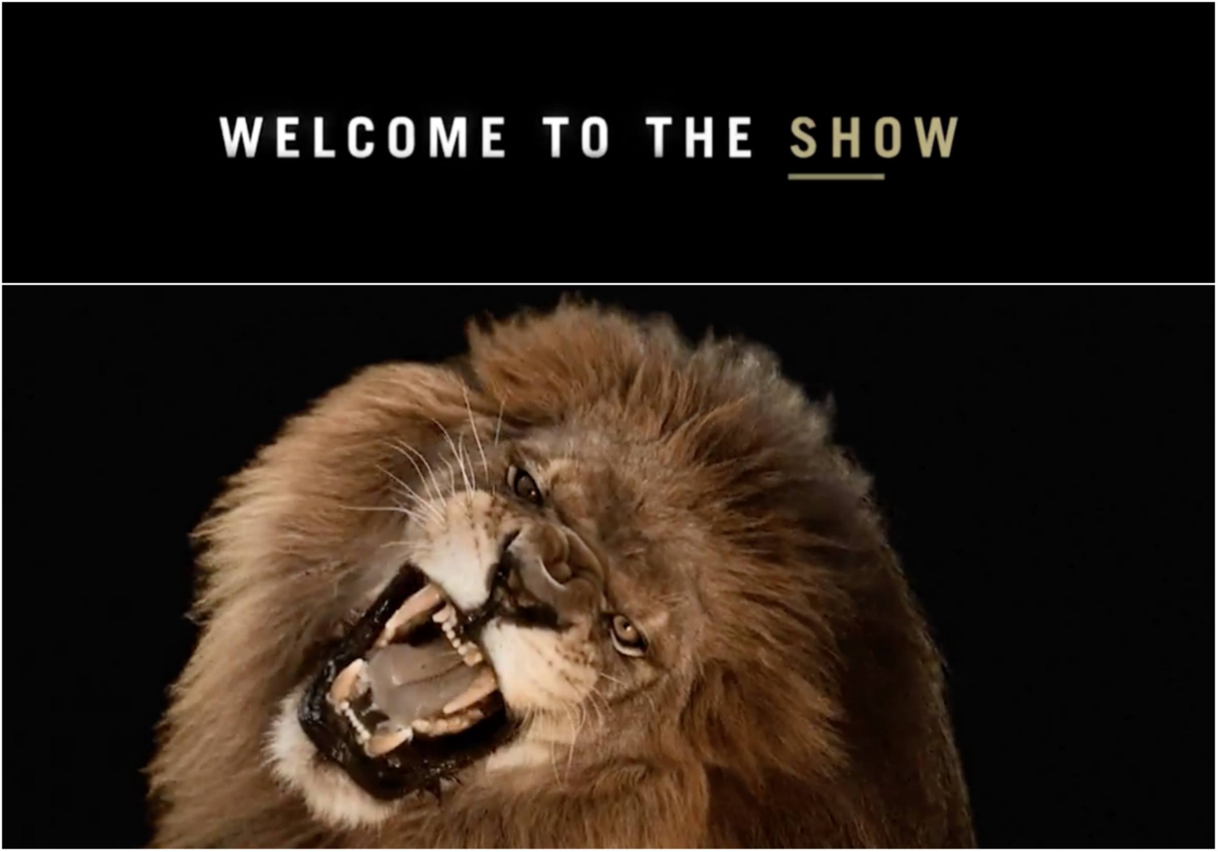 MGM Resorts Says ‘The Show’ Must Go On, Relaunches Suspended Marketing Campaign