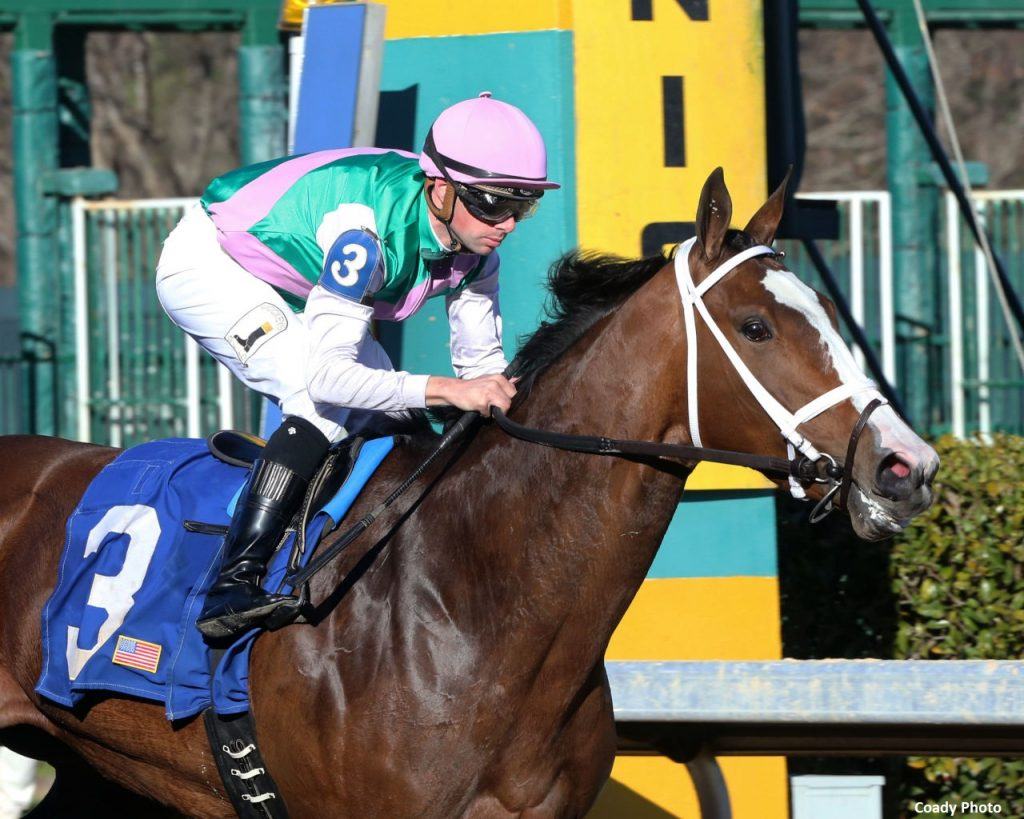 High-Profile Filly Taraz Suffers Fatal Injury During Workout at Oaklawn