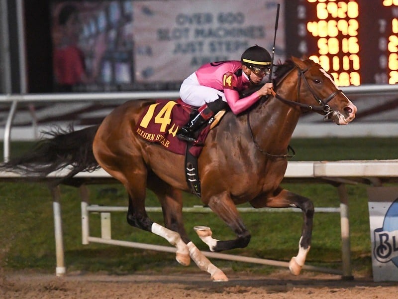 War of Will Becomes 2019 Kentucky Derby Rising Star After Third Straight Prep Win