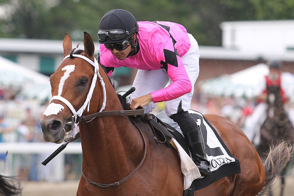 Maximum Security Looks to Regain Winning Stride Saturday in $1M Haskell Invitational