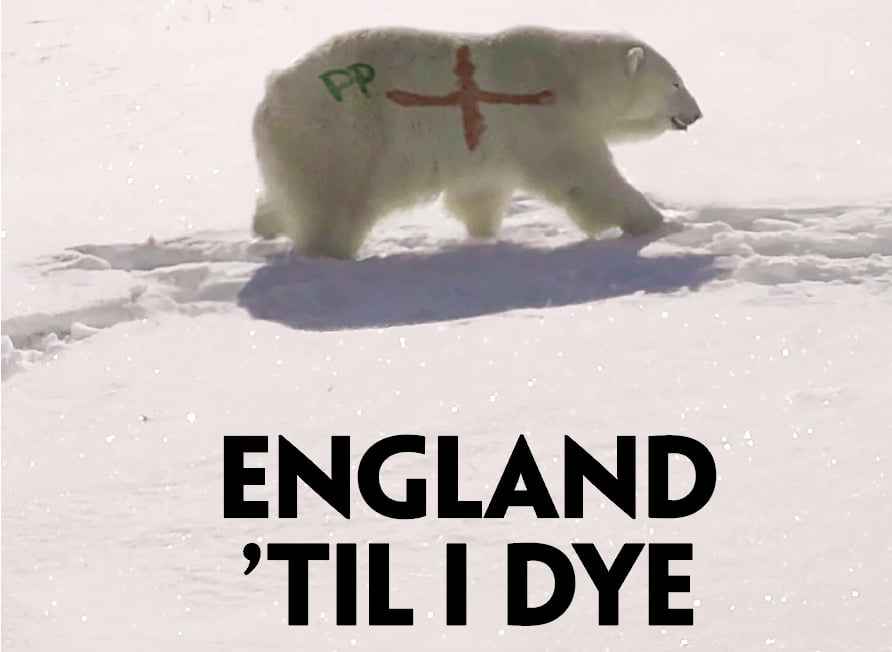 Paddy Power 2018 Russia World Cup Polar Bear Painting Stunt Stirs Up Outrage, UK Bookmaker Scrambles to Explain